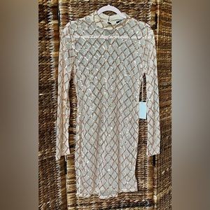 NWT Sequined Mesh Dress size XL (Juniors)